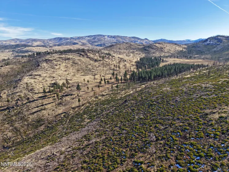 APN 047 State Route 89, Markleeville, California 96120, ,Land,Residential,State Route 89,250058648