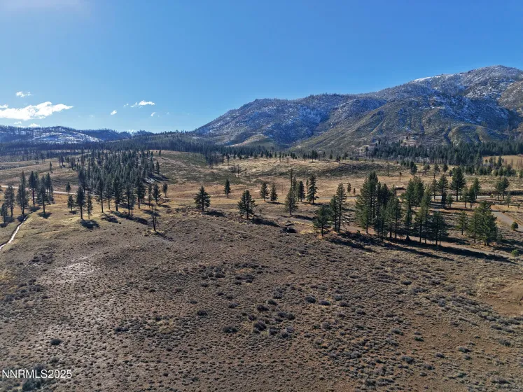 APN 047 State Route 89, Markleeville, California 96120, ,Land,Residential,State Route 89,250058648