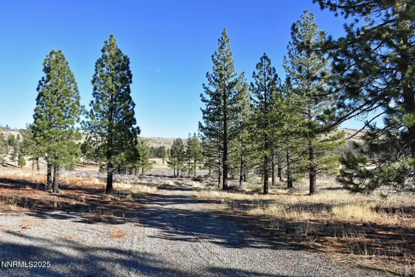 APN 047 State Route 89, Markleeville, California 96120, ,Land,Residential,State Route 89,250058648