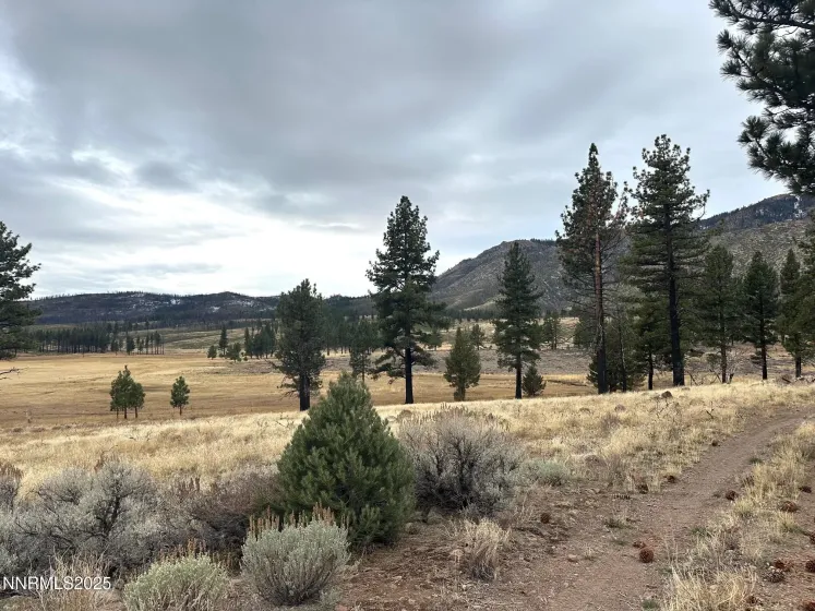 APN 047 State Route 89, Markleeville, California 96120, ,Land,Residential,State Route 89,250058648