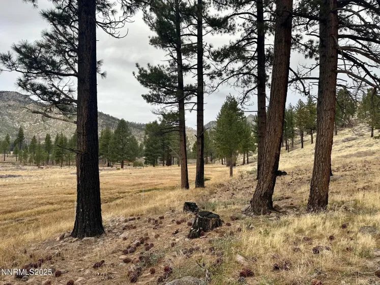 APN 047 State Route 89, Markleeville, California 96120, ,Land,Residential,State Route 89,250058648