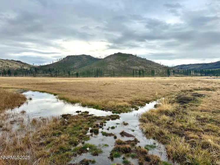 APN 047 State Route 89, Markleeville, California 96120, ,Land,Residential,State Route 89,250058648