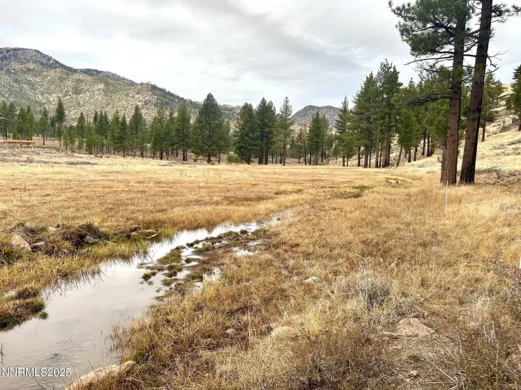 APN 047 State Route 89, Markleeville, California 96120, ,Land,Residential,State Route 89,250058648