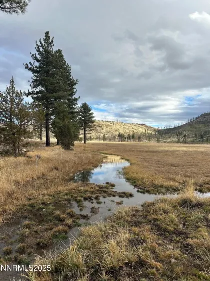 APN 047 State Route 89, Markleeville, California 96120, ,Land,Residential,State Route 89,250058648