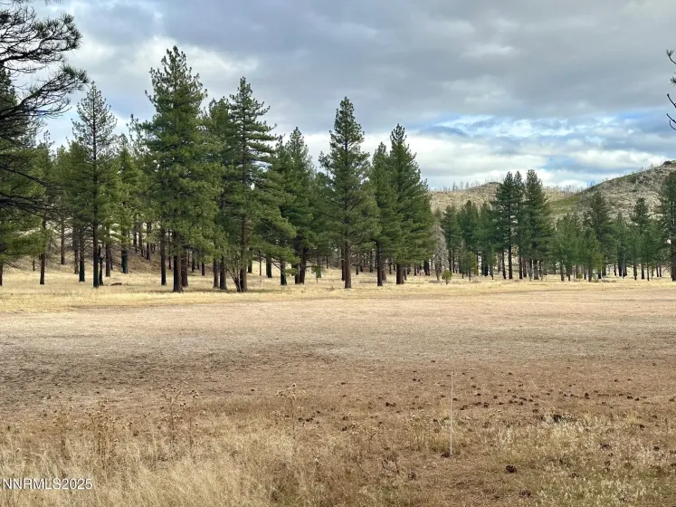 APN 047 State Route 89, Markleeville, California 96120, ,Land,Residential,State Route 89,250058648