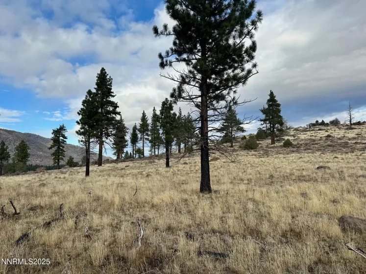 APN 047 State Route 89, Markleeville, California 96120, ,Land,Residential,State Route 89,250058648