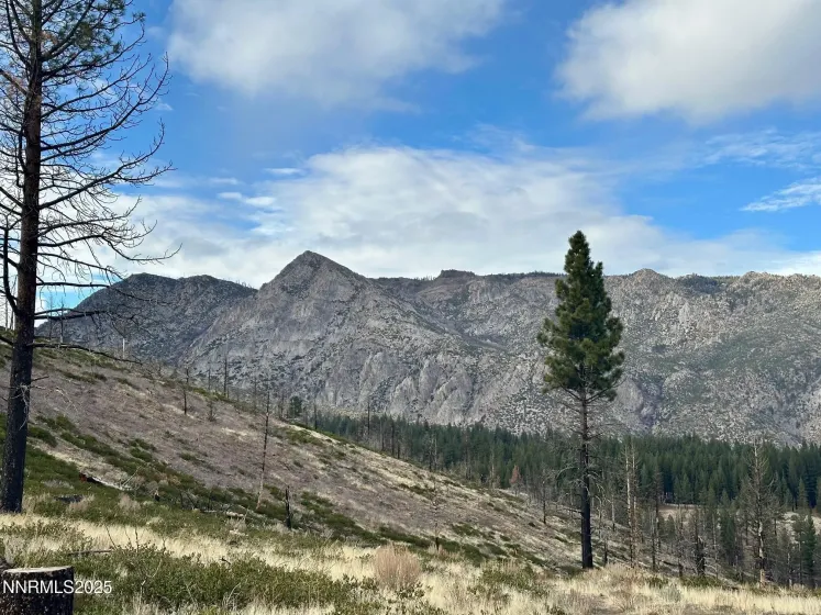 APN 047 State Route 89, Markleeville, California 96120, ,Land,Residential,State Route 89,250058648