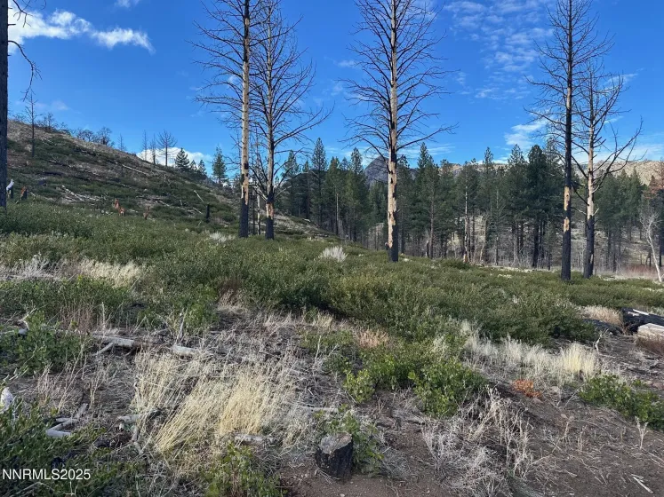 APN 047 State Route 89, Markleeville, California 96120, ,Land,Residential,State Route 89,250058648