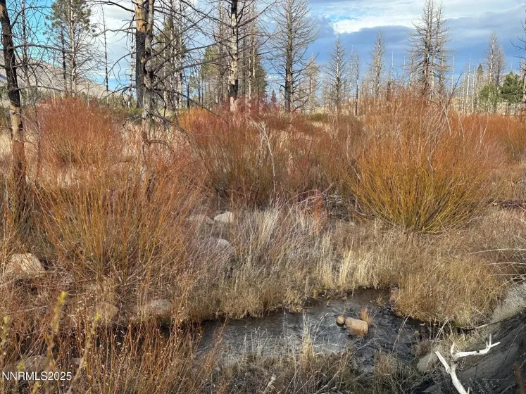 APN 047 State Route 89, Markleeville, California 96120, ,Land,Residential,State Route 89,250058648