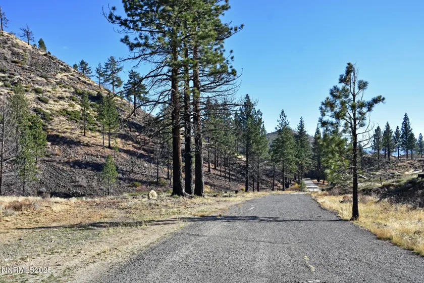 APN 047 State Route 89, Markleeville, California 96120, ,Land,Residential,State Route 89,250058648