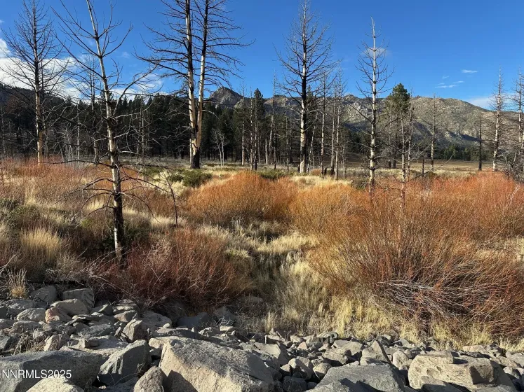 APN 047 State Route 89, Markleeville, California 96120, ,Land,Residential,State Route 89,250058648