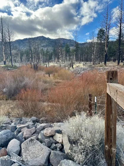 APN 047 State Route 89, Markleeville, California 96120, ,Land,Residential,State Route 89,250058648