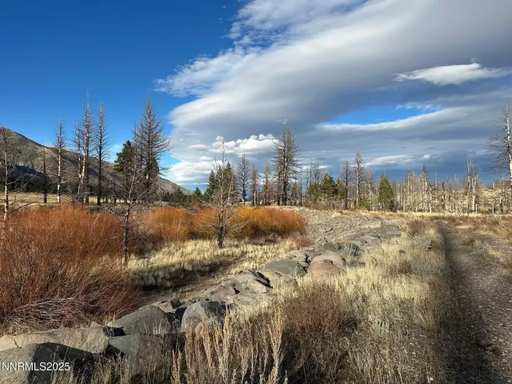 APN 047 State Route 89, Markleeville, California 96120, ,Land,Residential,State Route 89,250058648