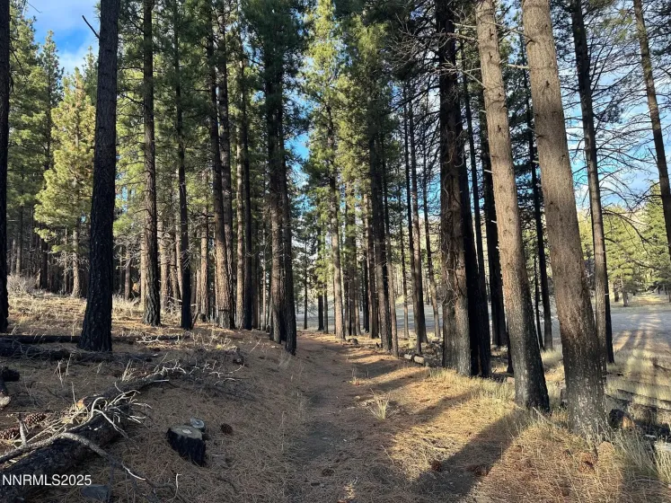 APN 047 State Route 89, Markleeville, California 96120, ,Land,Residential,State Route 89,250058648