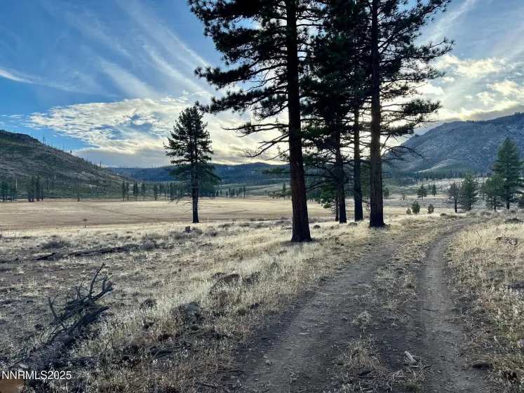 APN 047 State Route 89, Markleeville, California 96120, ,Land,Residential,State Route 89,250058648