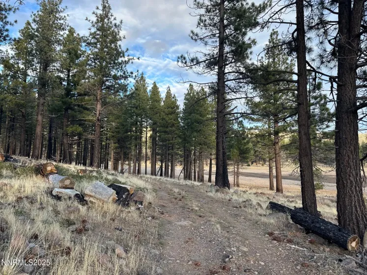 APN 047 State Route 89, Markleeville, California 96120, ,Land,Residential,State Route 89,250058648