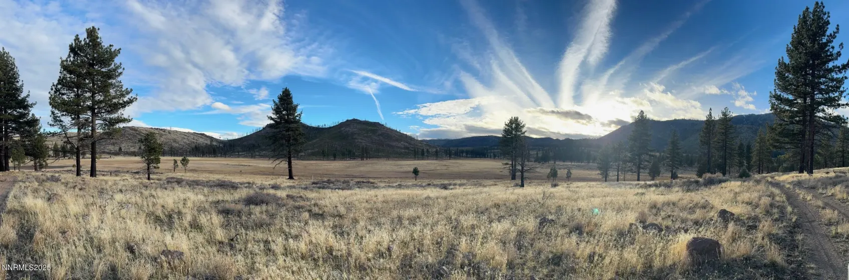 APN 047 State Route 89, Markleeville, California 96120, ,Land,Residential,State Route 89,250058648