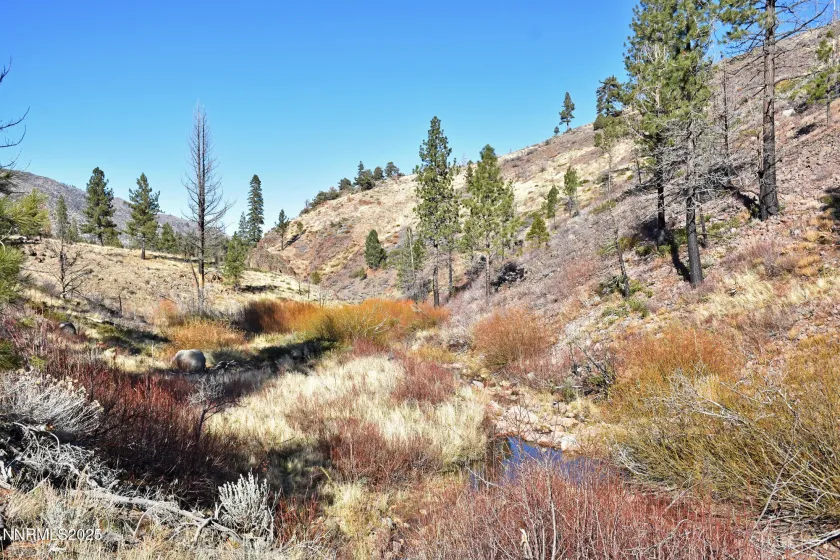 APN 047 State Route 89, Markleeville, California 96120, ,Land,Residential,State Route 89,250058648