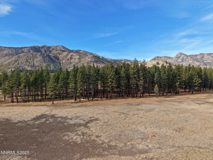 APN 047 State Route 89, Markleeville, California 96120, ,Land,Residential,State Route 89,250058648