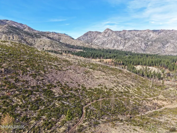 APN 047 State Route 89, Markleeville, California 96120, ,Land,Residential,State Route 89,250058648