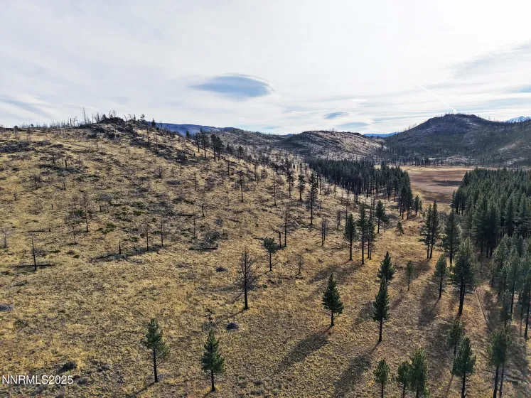 APN 047 State Route 89, Markleeville, California 96120, ,Land,Residential,State Route 89,250058648