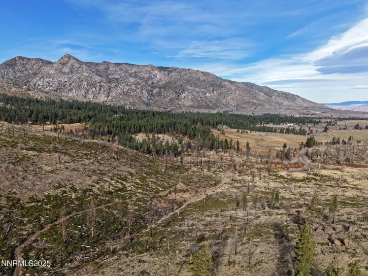 APN 047 State Route 89, Markleeville, California 96120, ,Land,Residential,State Route 89,250058648