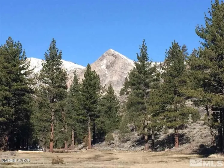 APN 047 State Route 89, Markleeville, California 96120, ,Land,Residential,State Route 89,250058648