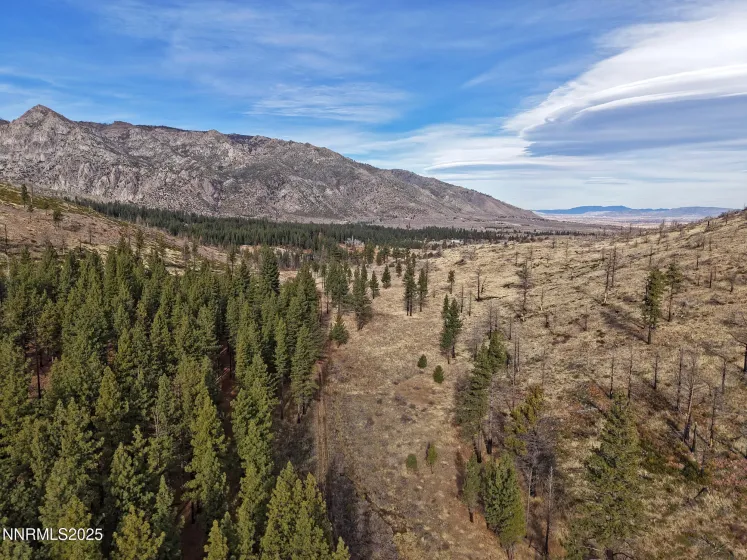 APN 047 State Route 89, Markleeville, California 96120, ,Land,Residential,State Route 89,250058648