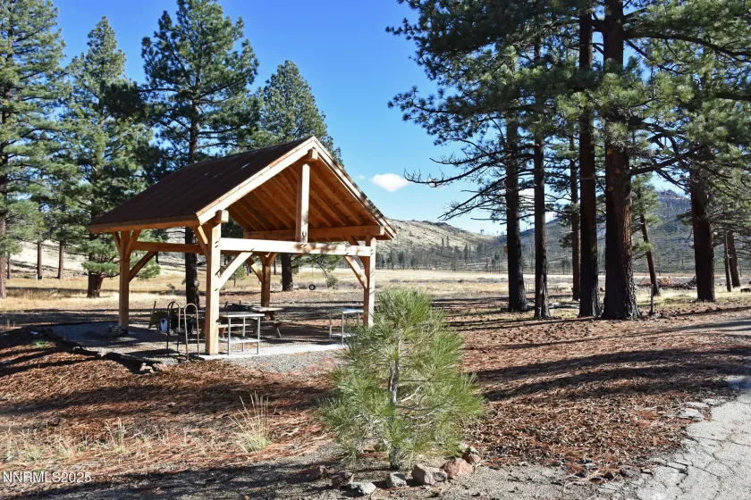 APN 047 State Route 89, Markleeville, California 96120, ,Land,Residential,State Route 89,250058648