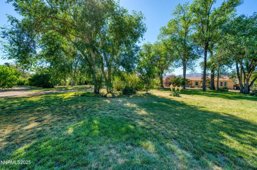 7049 Us Highway 50, Dayton, Nevada 89403, 4 Bedrooms Bedrooms, ,2 BathroomsBathrooms,Residential,Residential,Us Highway 50,250058681