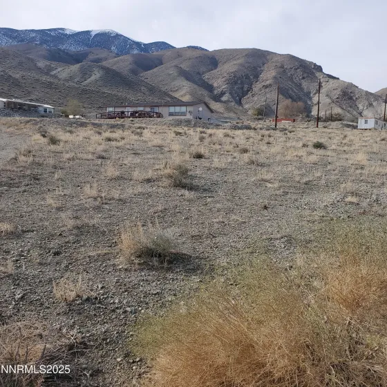 508 Walker, Walker Lake, Nevada 89415, ,Land,Residential,Walker,250058696