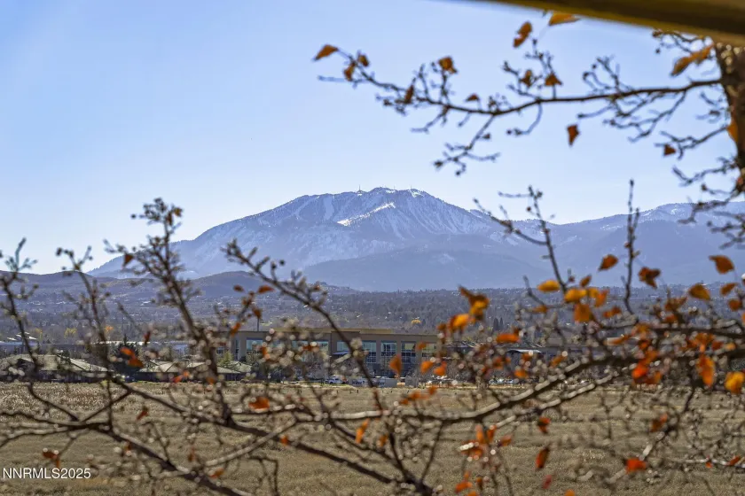 900 Meadows, Reno, Nevada 89521, 2 Bedrooms Bedrooms, ,2 BathroomsBathrooms,Residential,Residential,Meadows,250058705