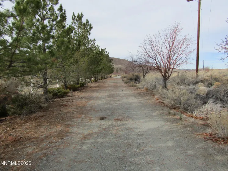 158 Walker, Yerington, Nevada 89447, 3 Bedrooms Bedrooms, ,3 BathroomsBathrooms,Residential,Residential,Walker,250058728