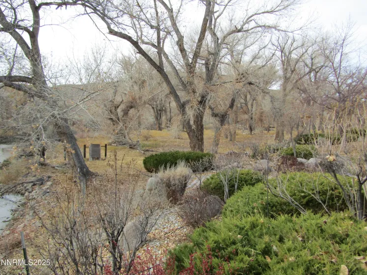 158 Walker, Yerington, Nevada 89447, 3 Bedrooms Bedrooms, ,3 BathroomsBathrooms,Residential,Residential,Walker,250058728