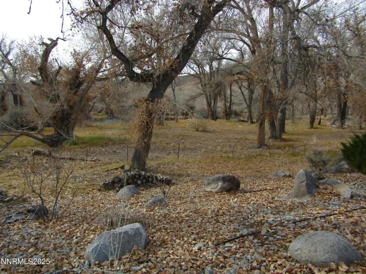 158 Walker, Yerington, Nevada 89447, 3 Bedrooms Bedrooms, ,3 BathroomsBathrooms,Residential,Residential,Walker,250058728