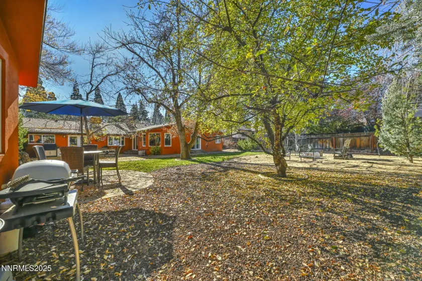 1165 Harvey Ln., Reno, Nevada 89509, 4 Bedrooms Bedrooms, ,4 BathroomsBathrooms,Residential,Residential,Harvey Ln.,250058744