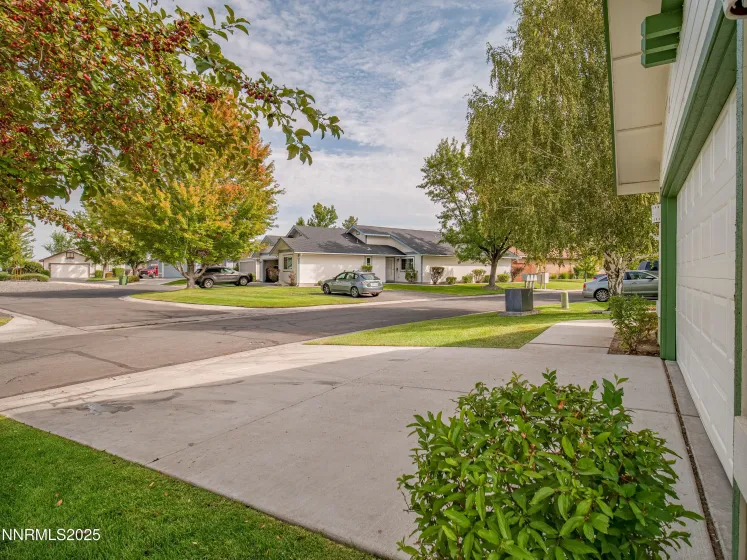 1775 Linden, Minden, Nevada 89423, 3 Bedrooms Bedrooms, ,2 BathroomsBathrooms,Residential,Residential,Linden,250056167