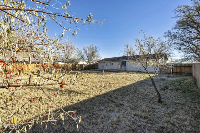 650 Mc Lean, Fallon, Nevada 89406, 3 Bedrooms Bedrooms, ,1 BathroomBathrooms,Residential,Residential,Mc Lean,250058760