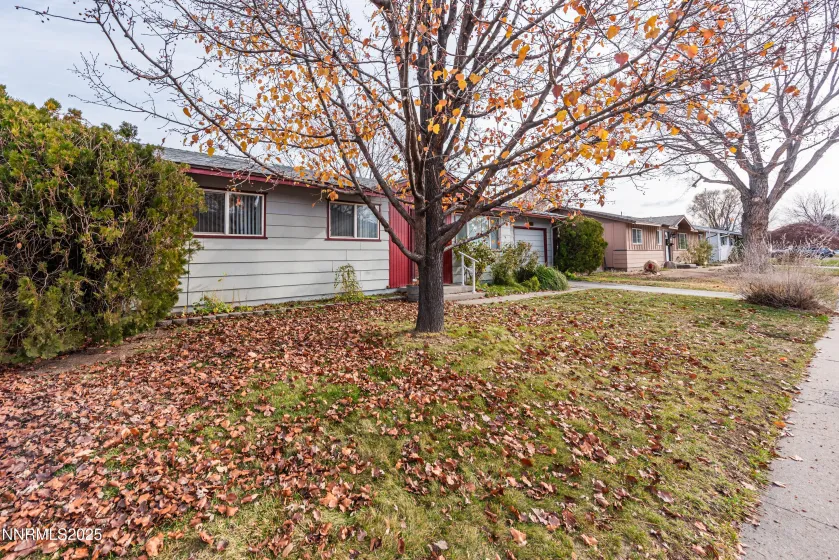 2509 Richard, Carson City, Nevada 89703, 3 Bedrooms Bedrooms, ,1 BathroomBathrooms,Residential,Residential,Richard,250058791