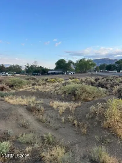 2608 Gordon, Minden, Nevada 89423, 3 Bedrooms Bedrooms, ,2 BathroomsBathrooms,Residential,Residential,Gordon,250055722