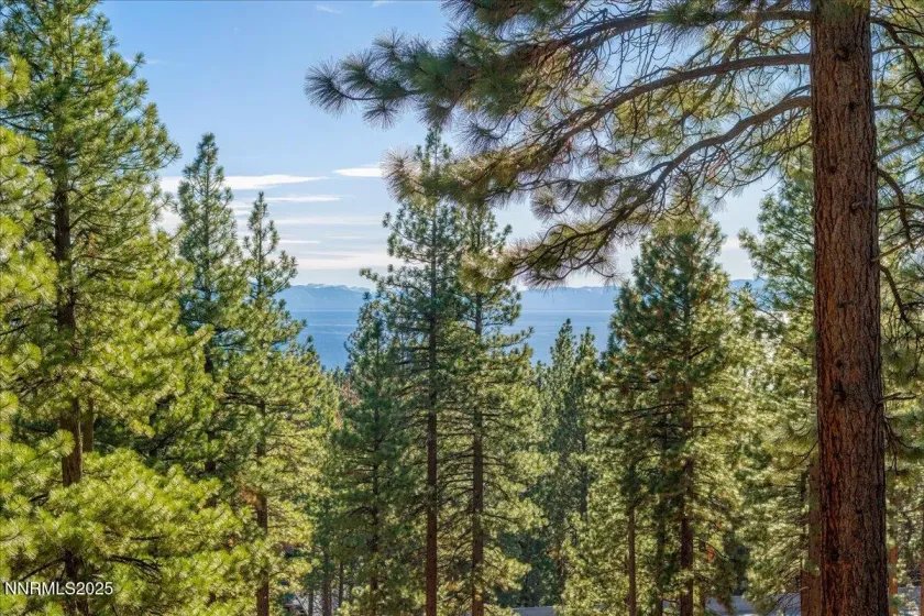 701 Tyner, Incline Village, Nevada 89451, 3 Bedrooms Bedrooms, ,3 BathroomsBathrooms,Residential,Residential,Tyner,250058820