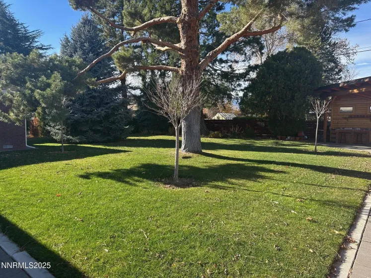 1175 Fairfield, Reno, Nevada 89509, 2 Bedrooms Bedrooms, ,2 BathroomsBathrooms,Residential,Residential,Fairfield,250058840