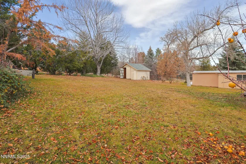 1659 Davidson, Reno, Nevada 89509, 4 Bedrooms Bedrooms, ,2 BathroomsBathrooms,Residential,Residential,Davidson,250058852