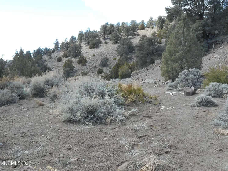 2050 Scorpion, Reno, Nevada 89521, ,Land,Residential,Scorpion,250056607