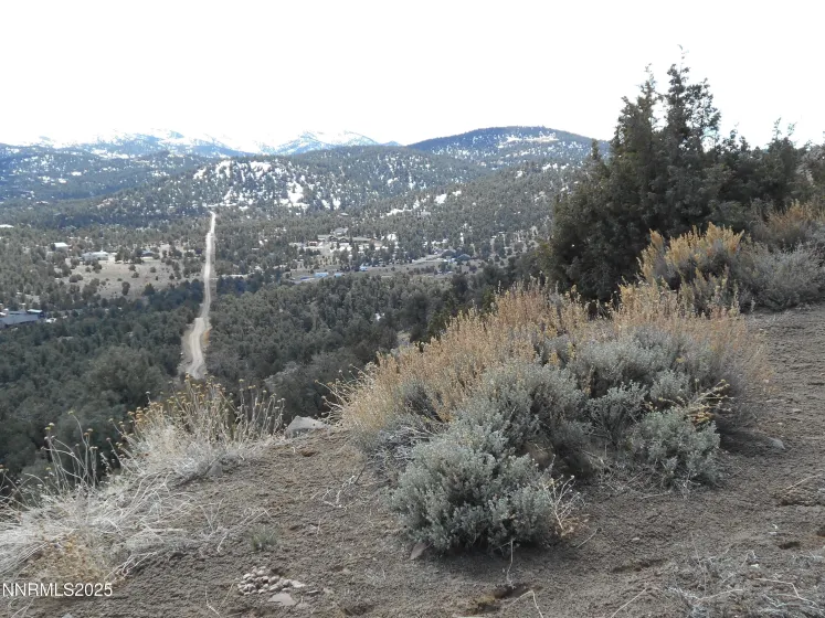 2050 Scorpion, Reno, Nevada 89521, ,Land,Residential,Scorpion,250056607