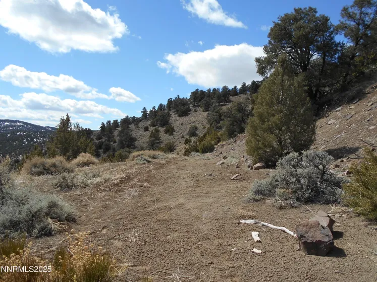 2050 Scorpion, Reno, Nevada 89521, ,Land,Residential,Scorpion,250056607