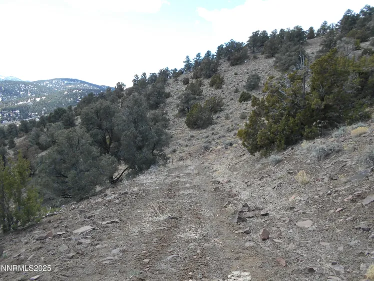 2050 Scorpion, Reno, Nevada 89521, ,Land,Residential,Scorpion,250056607