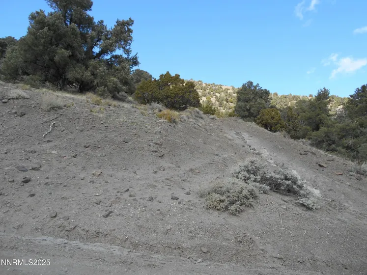 2050 Scorpion, Reno, Nevada 89521, ,Land,Residential,Scorpion,250056607