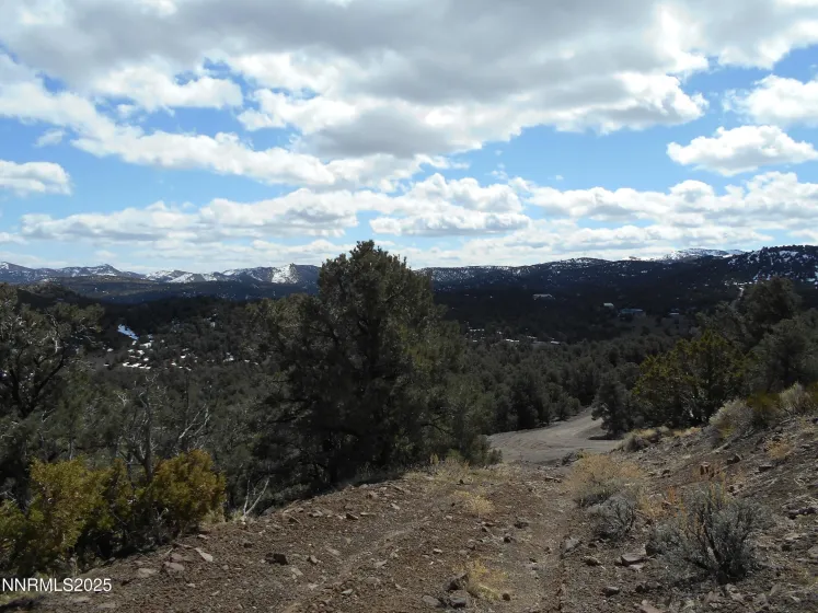 2050 Scorpion, Reno, Nevada 89521, ,Land,Residential,Scorpion,250056607