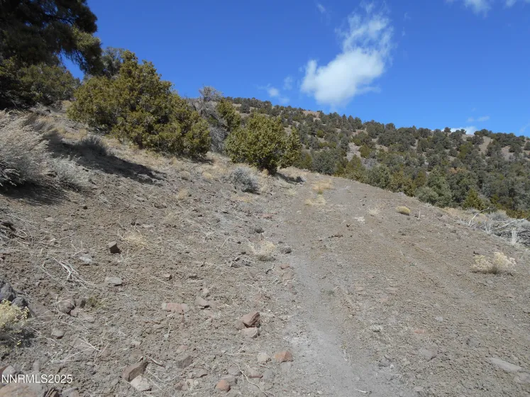 2050 Scorpion, Reno, Nevada 89521, ,Land,Residential,Scorpion,250056607